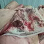 щеки свиные в Калининграде